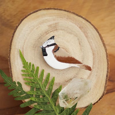 Czubatka <strong>broszka</strong>
